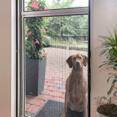Fliegengitterschwingtür Blick von innen nach außen. Ein brauner Hund sitzt davor.